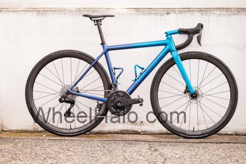 Sarto Asola specs and reviews 